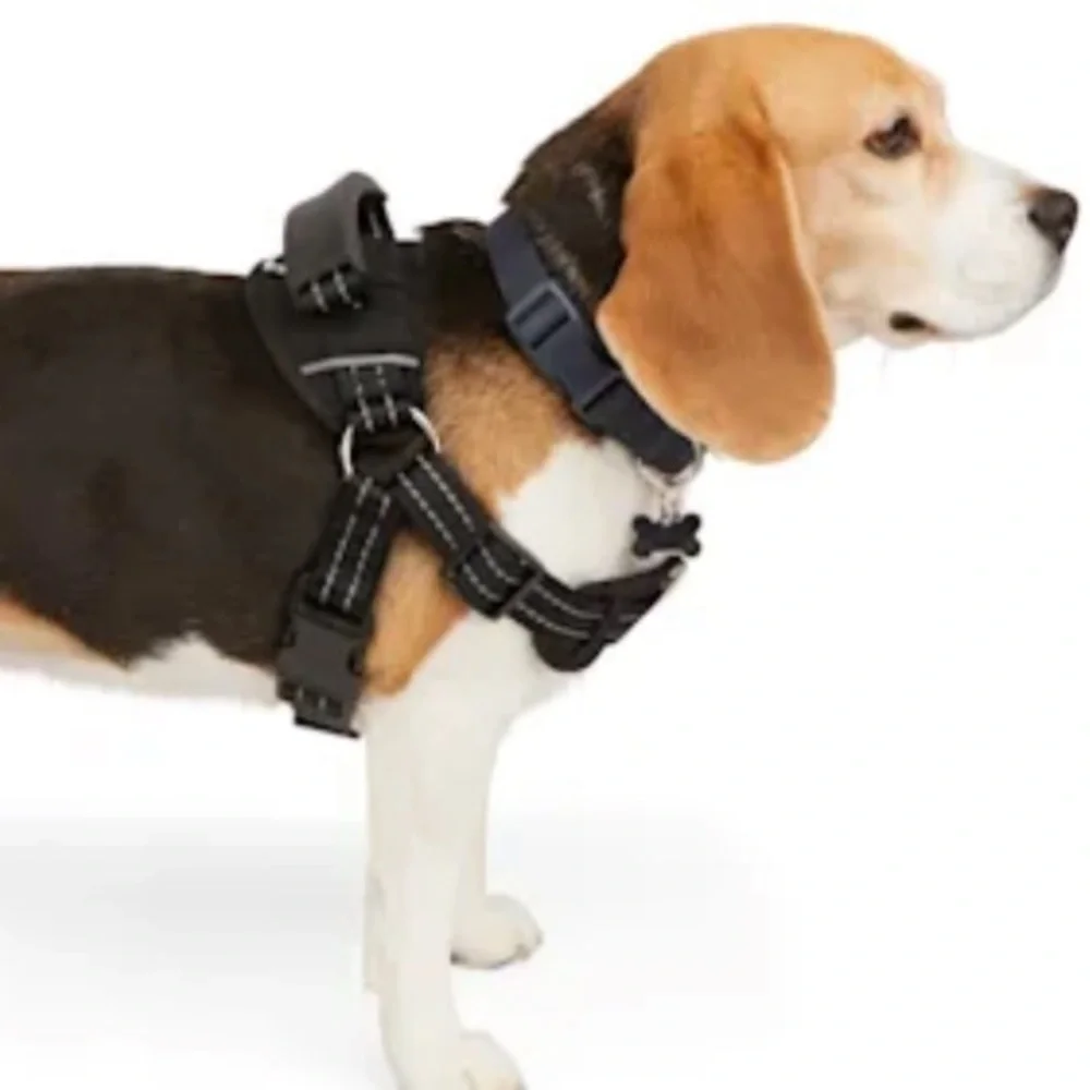 NWT easy on training harness XS